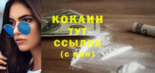 соль ск Гусь-Хрустальный