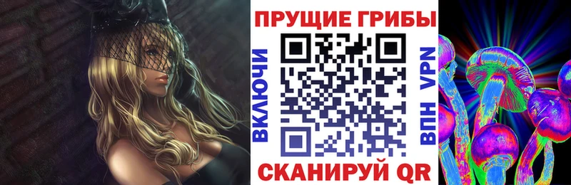 Псилоцибиновые грибы прущие грибы  Купить закладки  Хвалынск 